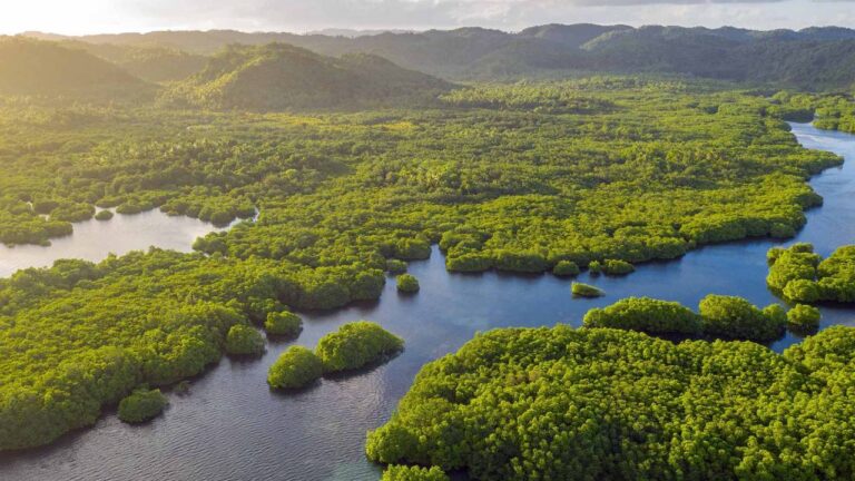 parques-naturales-colombia-mejores-biosiversidad-portada